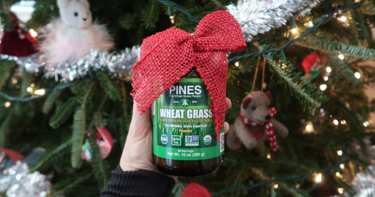 PinesWheatGrass photo