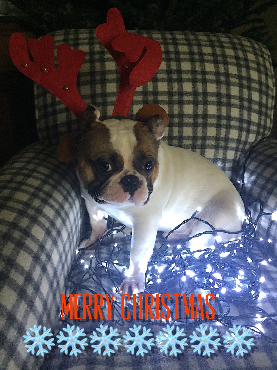 Ian McQueen tweet media