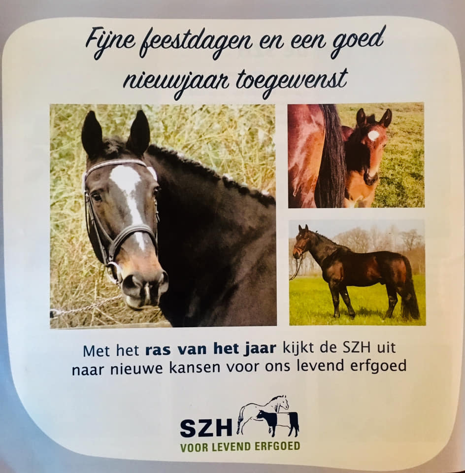 GroningerPaard's tweet photo. 🍀🍀🍀 Nieuwsbrief Vereniging Het Groninger Paard 🍀🍀🍀 - https://t.co/3Eh7mseaNR https://t.co/Se3bK48QjD