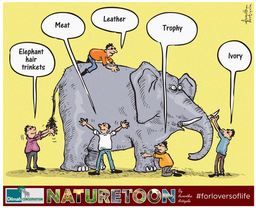 Dilmah's tweet photo. The whole is worth much more than its parts – this is a rule of the systems of life. True #sustainability & the future of life on #Earth hinges on our ability to expand our awareness & recognise the unseen #ecological interconnections that bind all life on Earth.
#ForLoversofLife https://t.co/yy2ZafUsBt
