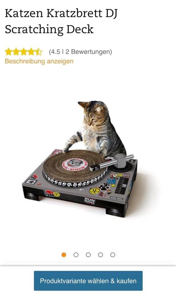 DJGregoryLuke's tweet photo. @AmelieLens, thinking of buying this for your cats 🖤🐱 https://t.co/TFOG48xtb0