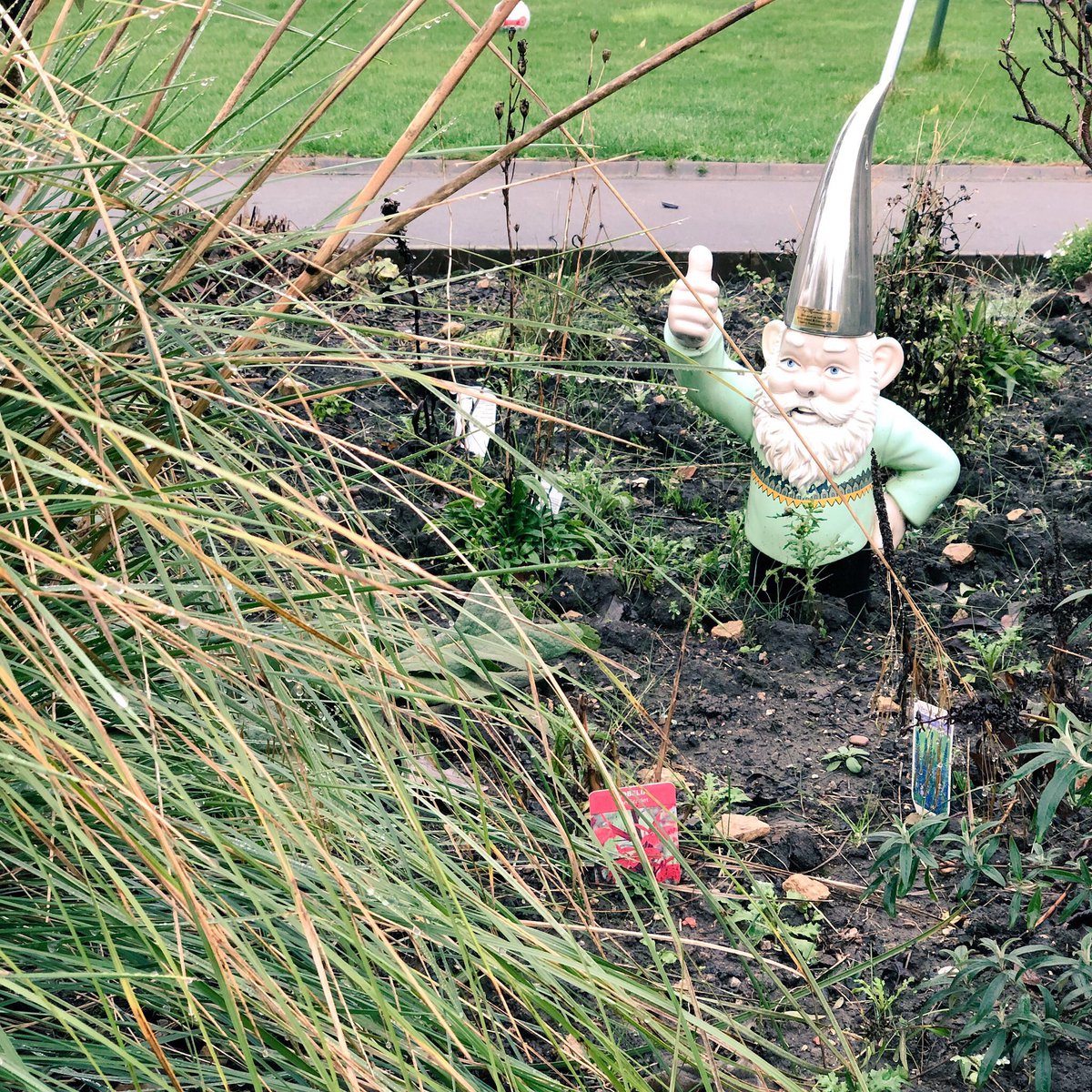 Neil Grant tweet media