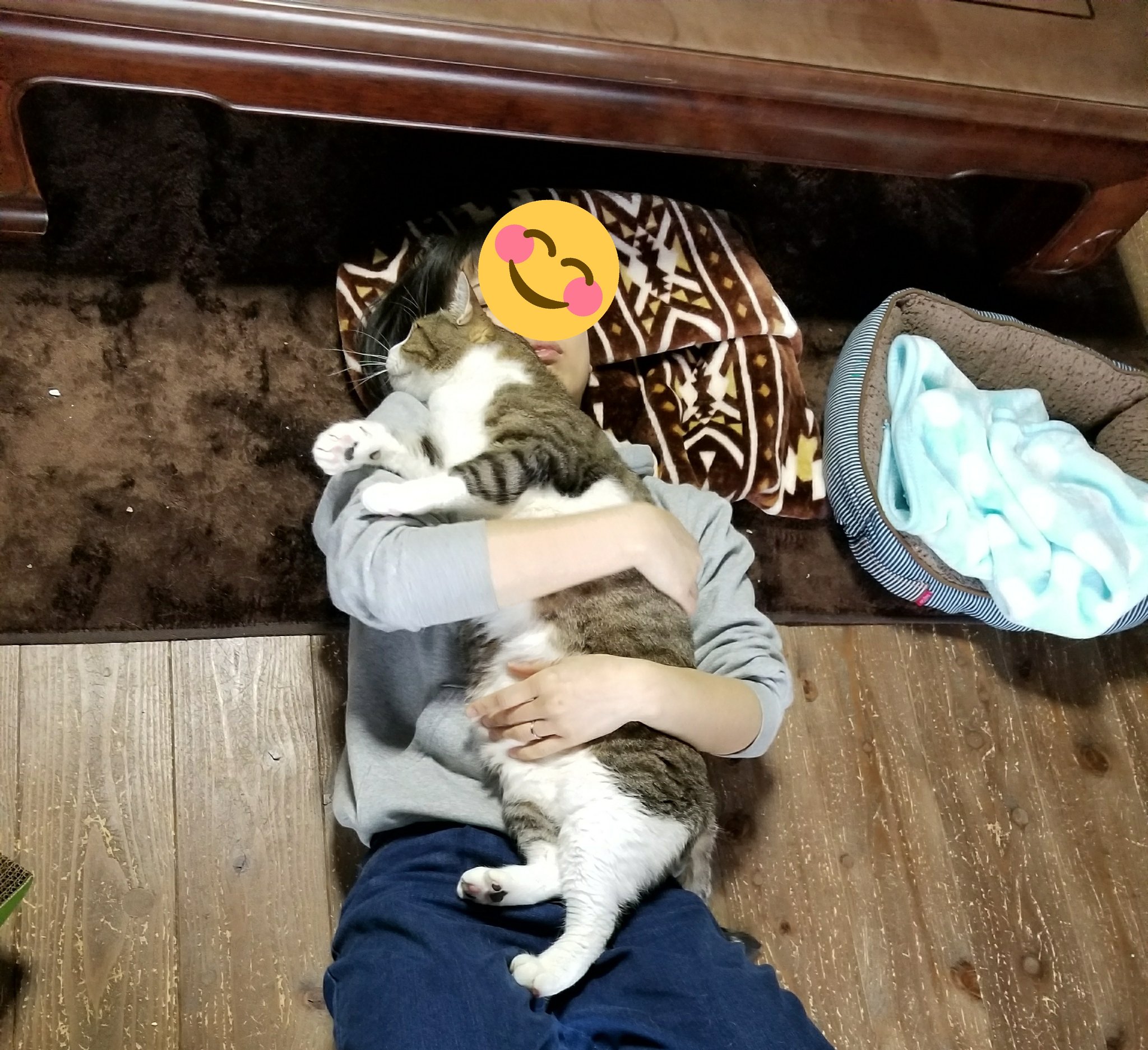 保護猫 古民家 Cafe Gatto 12月21日 金 天気雨 日直 チビ ボクを抱っこして眠るスタッフ ボクはみんなより大きいと言われるけどこうしてみるとやっぱり大きいんだな Fwf ねこ ネコ 猫画像 猫好き 里親募集型保護猫カフェ Cafegatto 古民家カフェ