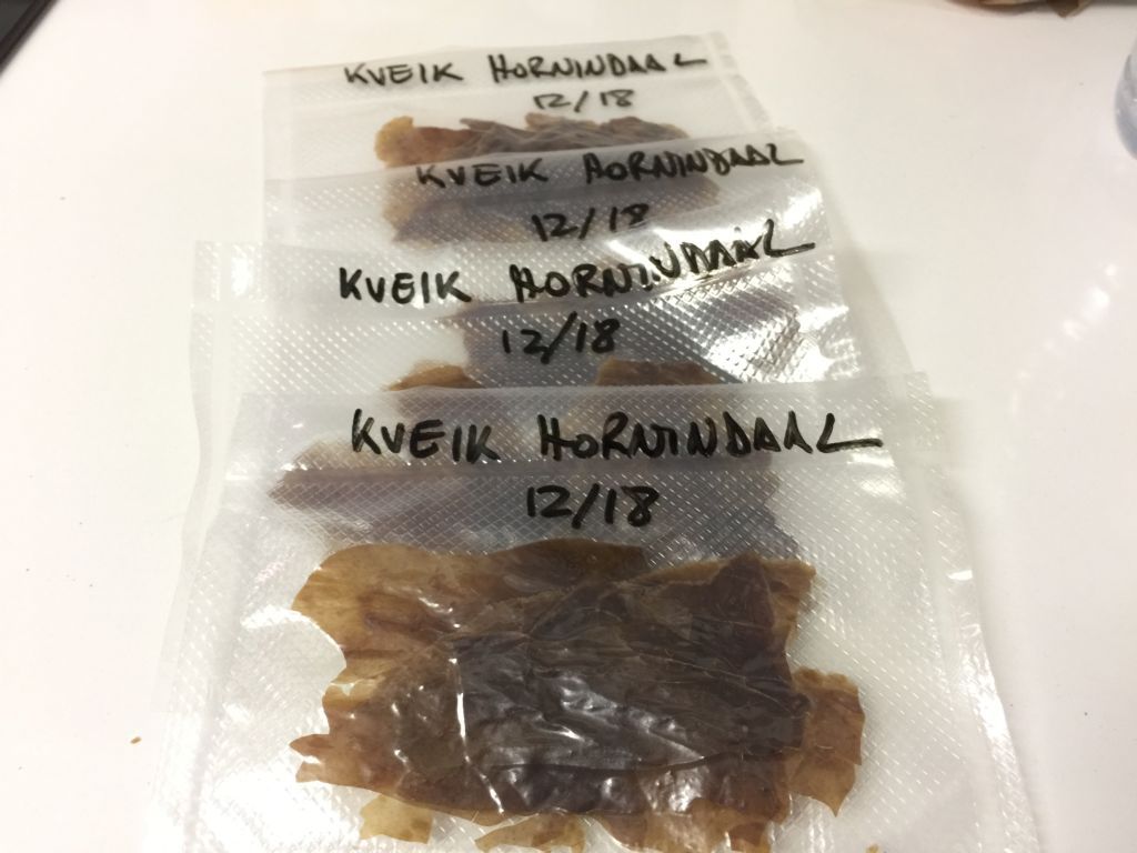 Levadura Kveik: Cómo deshidratarla para mantenerla blog.hanselbier.es/levadura-kveik…