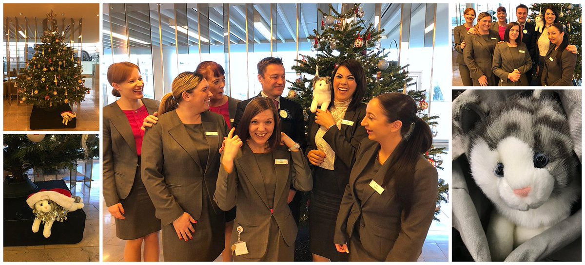ESgloballaw's tweet photo. Remember our dog day back in 2017? Well fur the fun of it we have taken the oppurrrtunity to introduce our very own festive feline, Brian the Cat! Brian is keeping our wonderful #London reception team company and our Co-CEO @LeeRansonES has also taken a shine to him! 🐱😺🐾 https://t.co/7XJPV28HuH