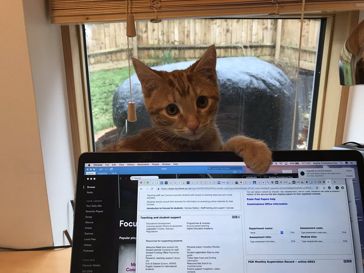 Sophie Cox tweet media