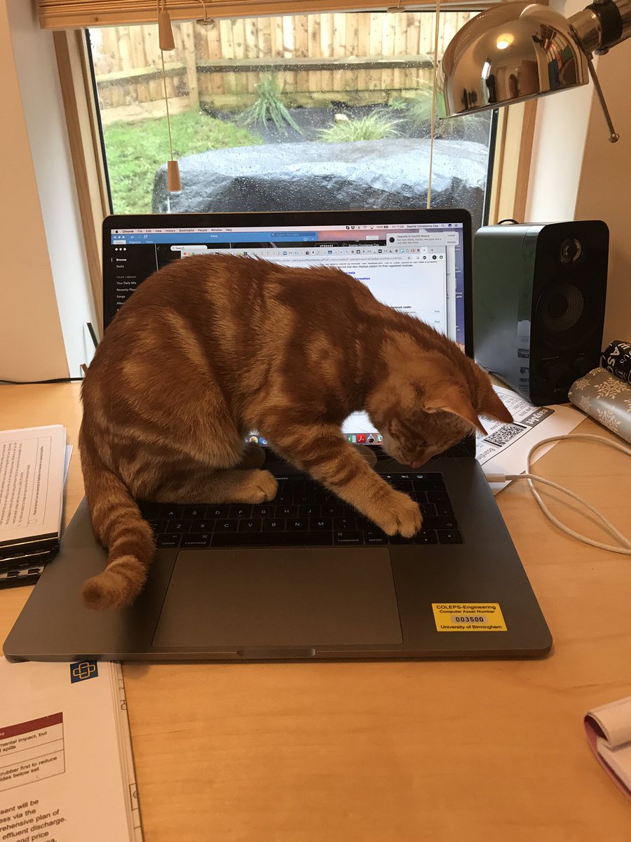 Sophie Cox tweet media