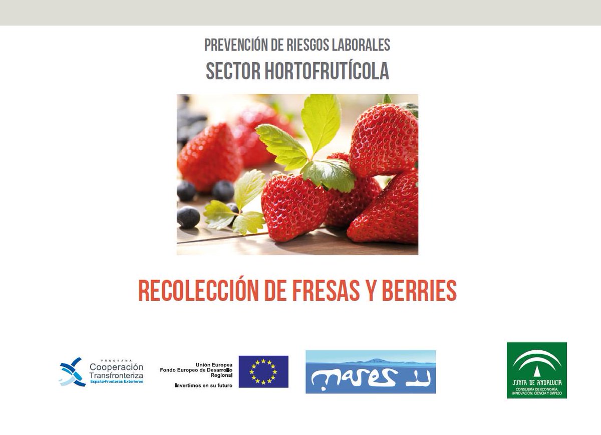 LineaPRL's tweet image. Descarga nuestro material sobre #PRL en la recolección de fresas y berries, vía @EmpleoJunta lajunta.es/143tt