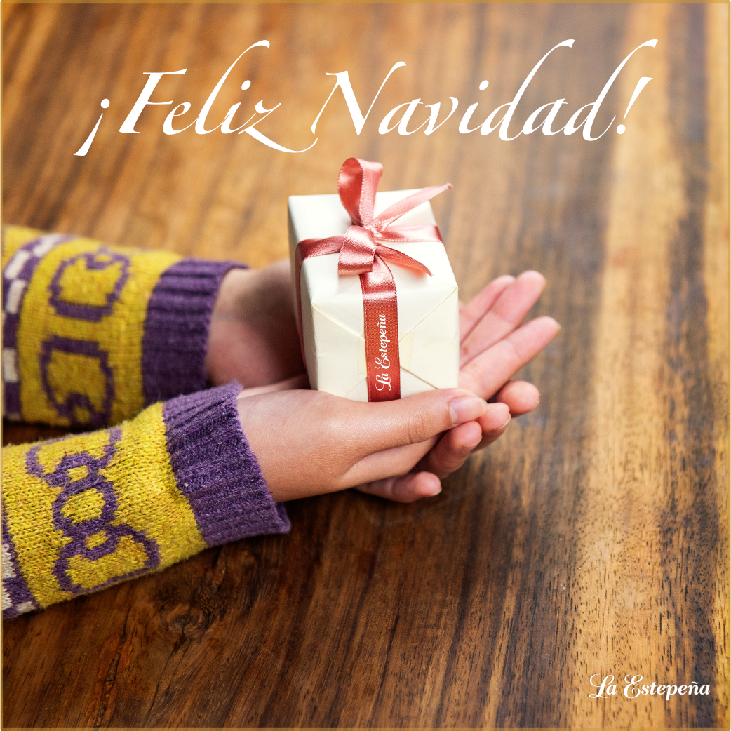 El mejor regalo... Tú.  Feliz Navidad.
