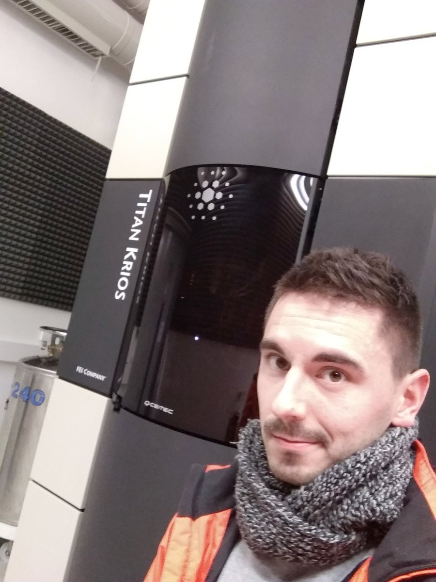 JanyBinovsky's tweet photo. perfect grid, perfect squares, perfect ice...let's see whether it was worth to spend yesterday's B-day evening with Krios :)
#cryoEM #krios #phage #highresdata #present #please https://t.co/qZegLPgDNN