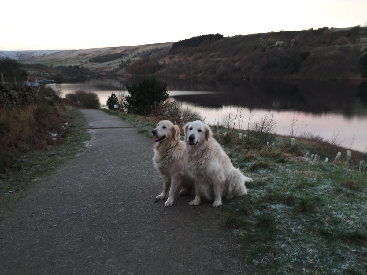 Well of course all the feasting will be accompanied by wonderful walks. Did you know today conveniently marks the start of the Festival of Winter Walks? ow.ly/odO030n286g