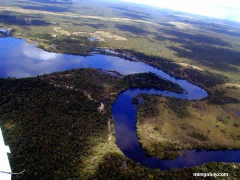 ACEER Foundation tweet media