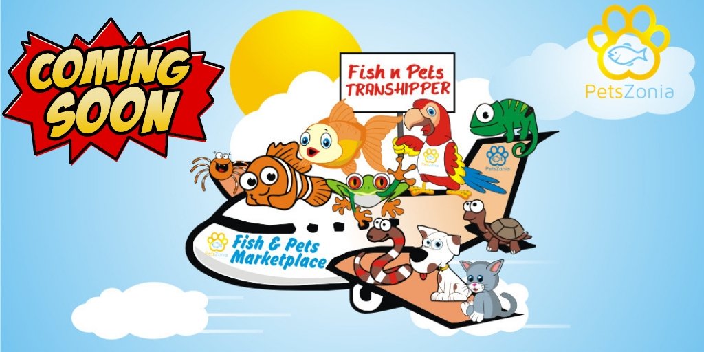 PetsZonia's tweet photo. Dream Fish and Pets Market Place. Ready To launch @petszonia  android application. #Petlovers https://t.co/8c5d6oXue9
