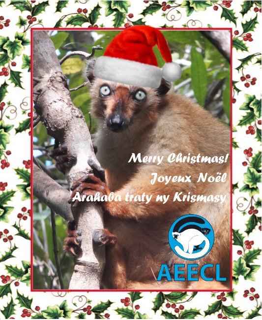 Lemur Association tweet media