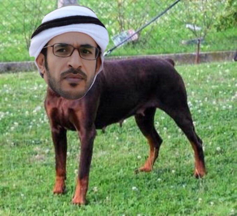 فيصل 🇰🇼 tweet media
