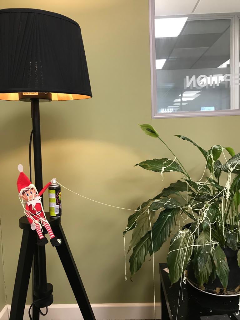 Pacific_House's tweet photo. 🎄OH NO LARRY!
We caught Larry making a mess with silly string😮
He’s even got some on his mistle-toes...😂 https://t.co/ilbk9tuJeG