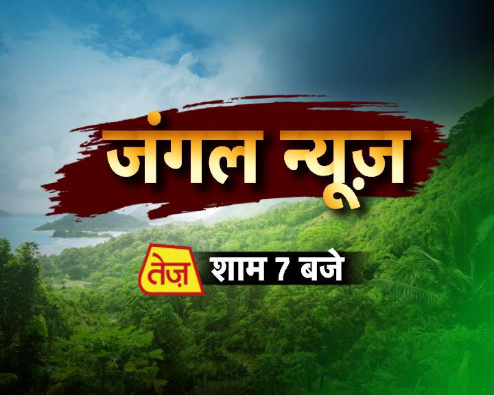 TezTVChannel's tweet photo. संगम में प्रवासियों का कुंभ
क्लास ��रने आया तेंदुआ 
दलदल में गिरे गजराज 
रपट लिखाने आए नागराज
शाम 7 बजे 
@Rekha_Kara के साथ https://t.co/0mQygmiax3