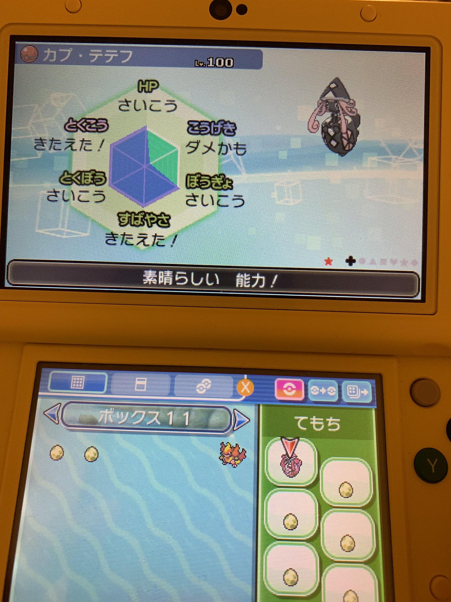 ミヤツロ メイン 色違いカプ テテフ育成完了 スカーフ型です めざパは炎 色違いカプ テテフ ポケモン 色違いポケモン T Co Qftkassbda Twitter ミヤツロ メイン 色違いカプ テテフ育成完了 スカーフ型です めざパは炎 色違いカプ テテフ ポケモン 色違いポケモン T Co Qftkassbda Twitter