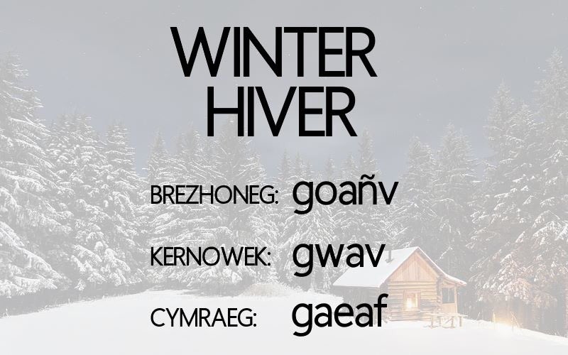 Winter / Hiver

Brezhoneg: goañv [gwɑ̃(w)] m. pl: goañvoù, goañvioù
Kernowek: gwav [gwa:v] m. pl: gwavow
Cymraeg: gaeaf ['ɡeɨ̯a(v)] m. pl: gaeafau

From Proto-Celtic *gyamo-, from Proto-Indo-European *ǵʰyem-.