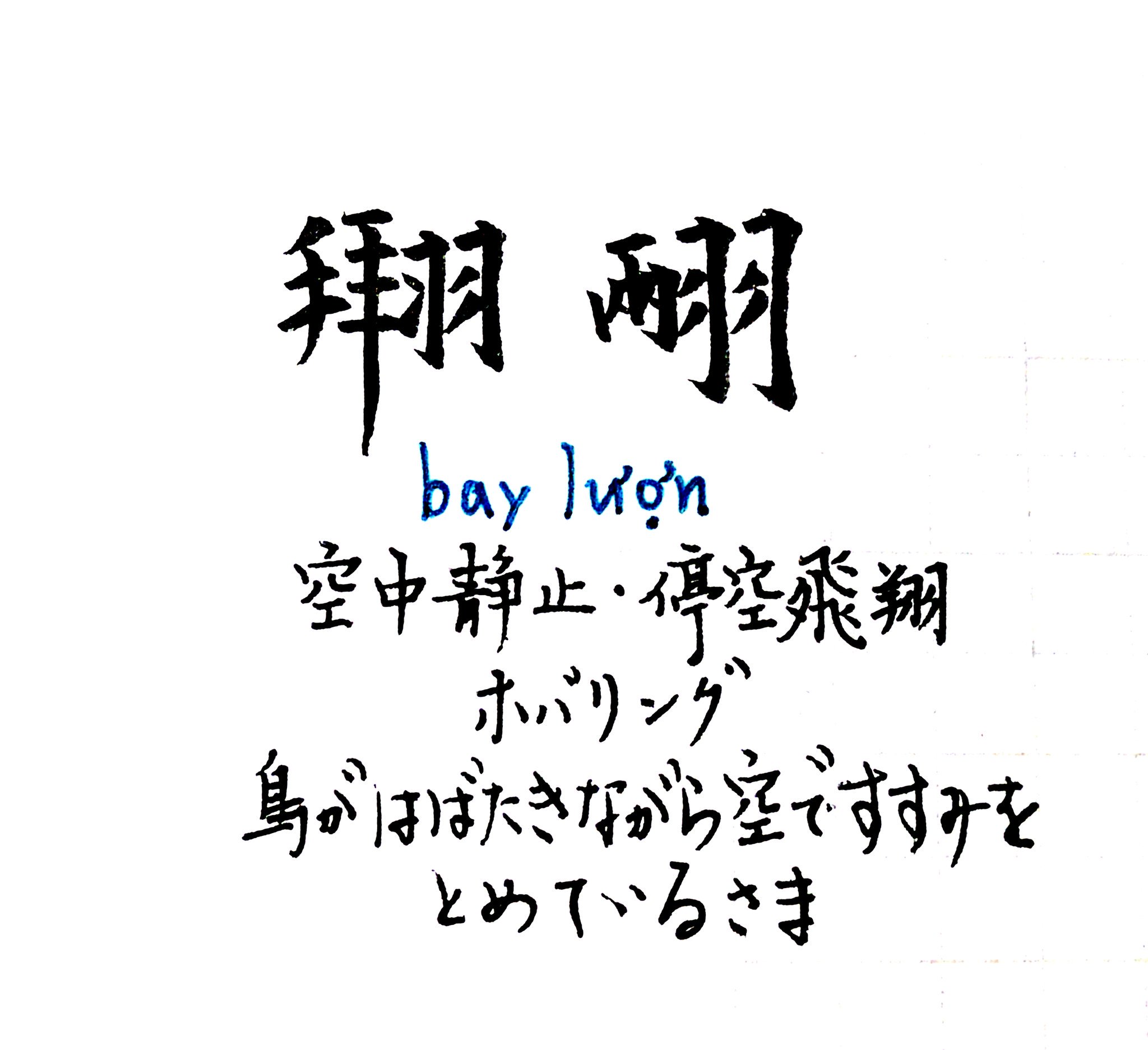 拾萬字鏡 84 鳥がはばたきながら空中で停止しているあの瞬間をベトナム キン語圏では Bay Lượn といい漢字 ２字で綴る 英語だとhovering 日本語だと空中静止だろうか それ専用の漢字２字が用意されていることが興味深い T Co Buhgnpepdh