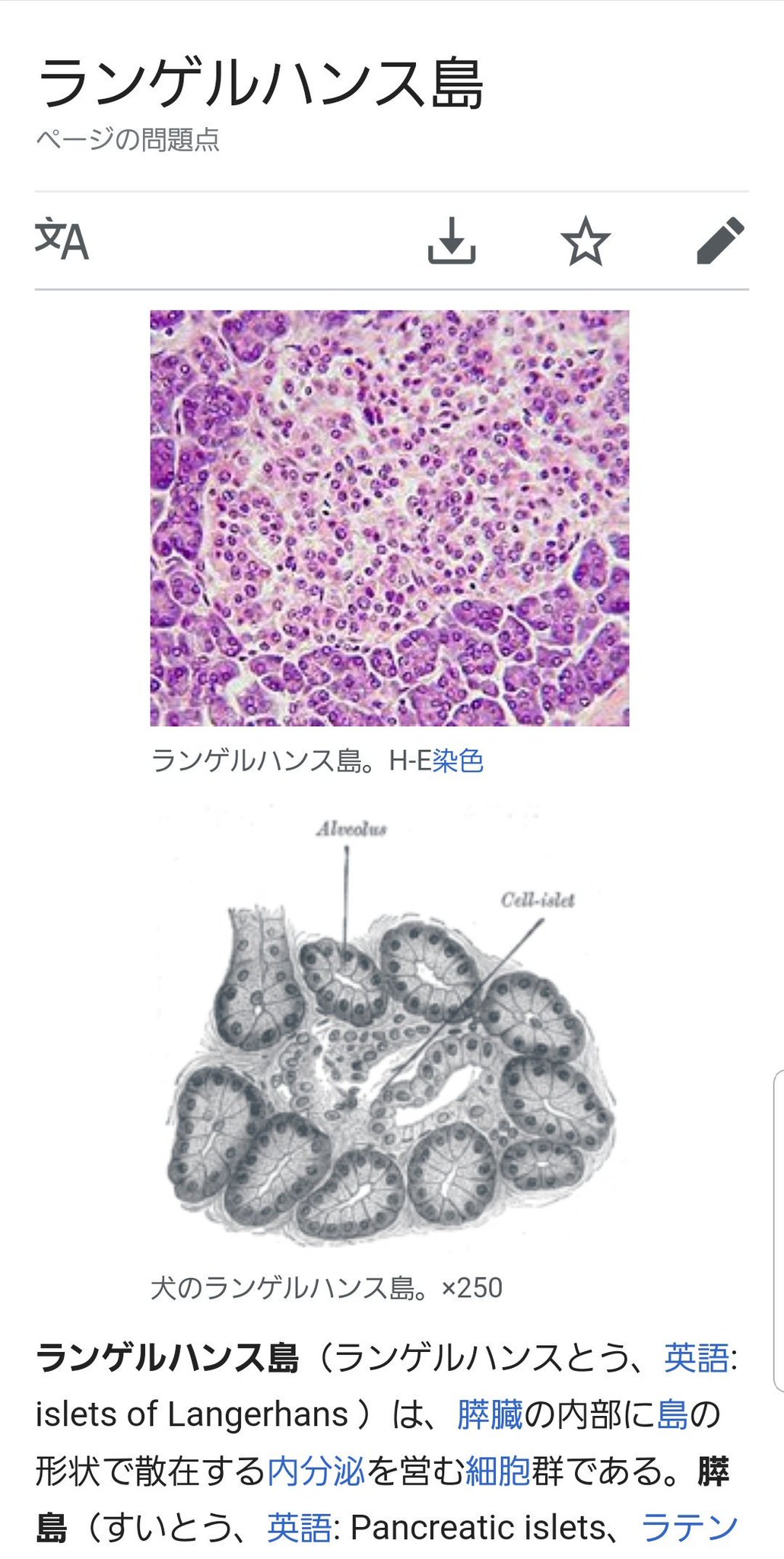 キング牧師 On Twitter ランゲルハンス島に何かひとつ持っていけるとしたら何がいい って聞いてくるのツボるww ホルモン持っていきたいとかいうなしww