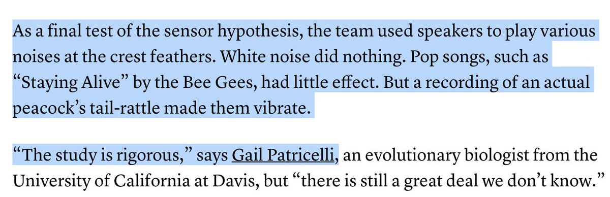 As a final test of the sensor hypothesis, the team used speakers to play various noises at the crest feathers. White noise did nothing. Pop songs, such as “Staying Alive” by the Bee Gees, had little effect. But a recording of an actual peacock’s tail-rattle made them vibrate.

“The study is rigorous,” says Gail Patricelli
