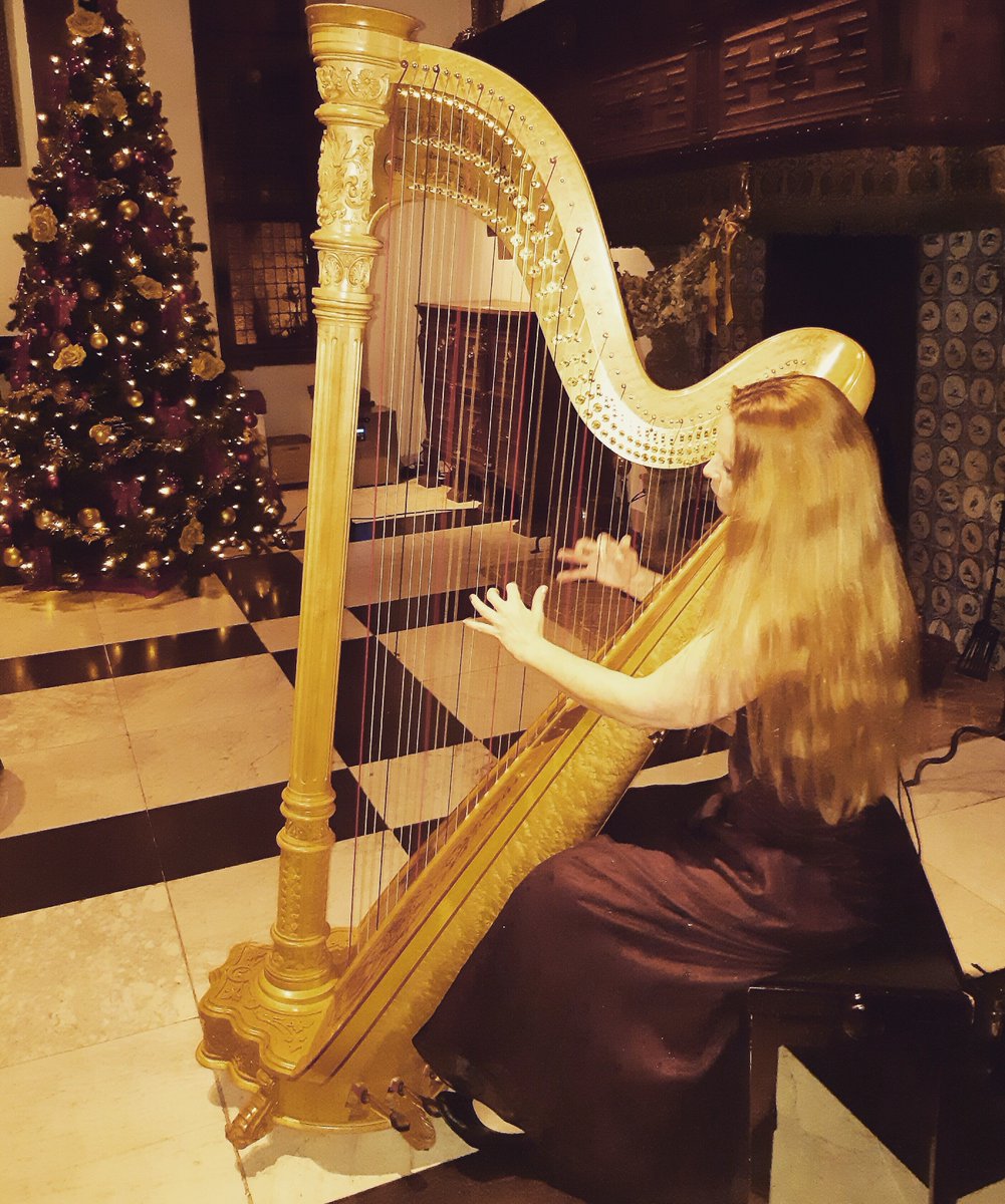 EvensesDe's tweet image. Unsere Harfenspielerin letzte Woche bei einem Booking 😍

Wie ihr seht kann man bei Evenses so gut wie alles buchen 😏 Schaut bei uns vorbei!

#MerryChristmas￼ #letzterarbeitstag #harpist #harfenspieler #musicians #bookingagency #booking #evenses