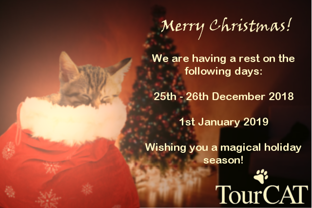 TourCAT_System's tweet image. It&apos;s the final countdown! Have a very #MerryChristmas to one and all! #FestiveFriday