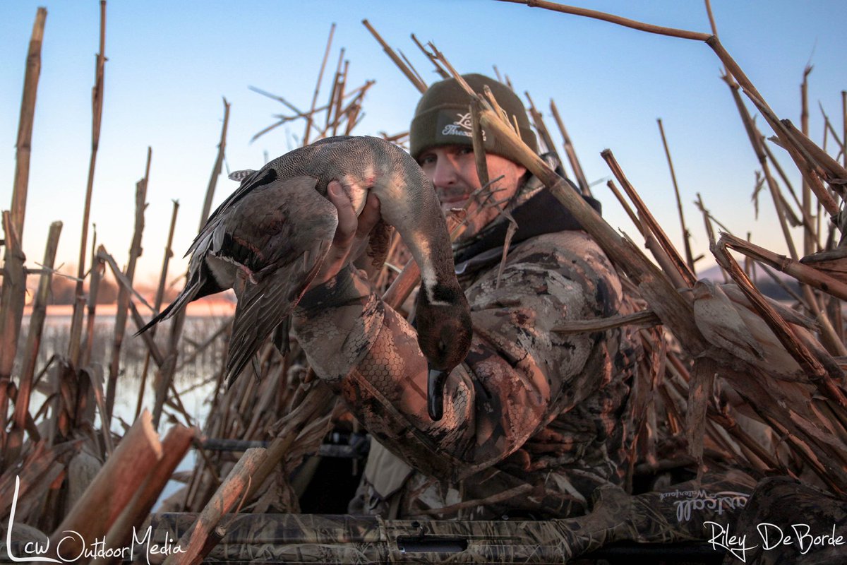 LCWaterfowl's tweet photo. When the boss shows up in your spread !! Happy Friday yโall !!
Photo credit ๐ธ @rdeborde_
.
.
#lastcallwaterfowl #lcwoutdoormedia #makeeveryframecount #huntingphotography https://t.co/oxAyTjr83i