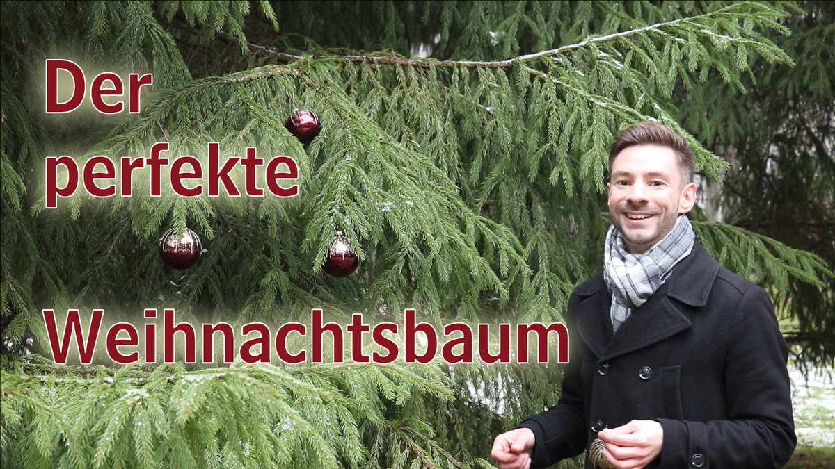 Tobias Brügmann tweet media