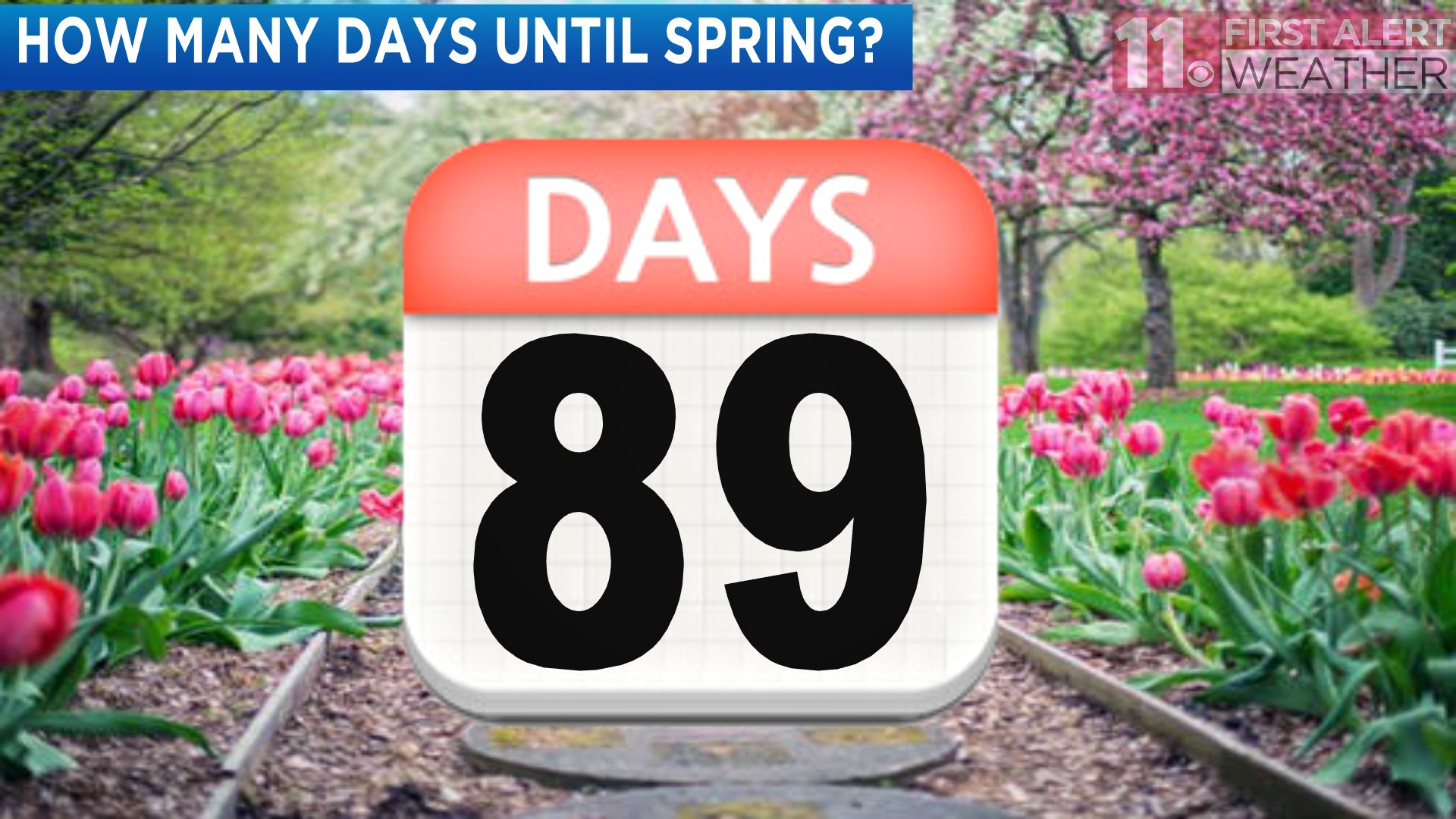 89 days from today sale