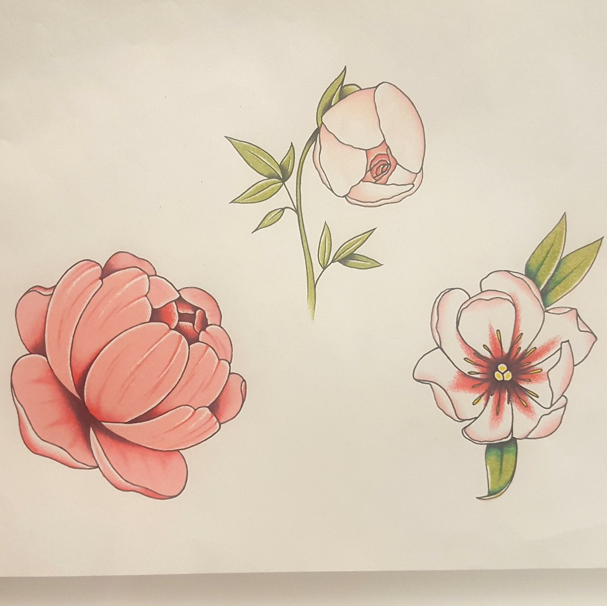 Sarah Seveney On Twitter Love Drawing Flowers Flowers