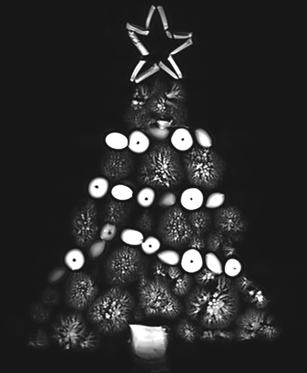 clambert112358's tweet photo. Seasonal festive MRI from fabulous imaging support team @WCHN_UCL Credits to the amazing @megancreasey #MRI #Christmas #BrainScience https://t.co/C1XXLTVzCy
