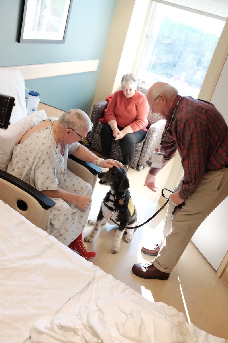 ArHeartHospital's tweet image. Tune in to KARK Channel 4 Good News Matters tonight for a special feature on our pet therapy program. #pettherapy #goodnewsmatters