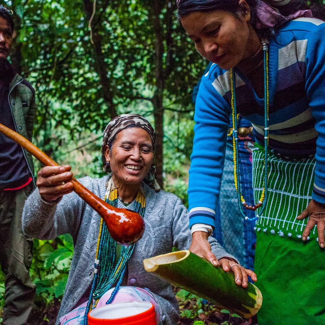 sandeepa's tweet photo. A lunch experience that's hard to surpass...
No oil, no spices.  Just fresh, organic, healthy, delicious food. Cooked in the most natural way possible. In the greenest surroundings possible. It was the freshest food we have had ever.

#BasarConfluence #IncredibleIndia #SCinNE https://t.co/D4trZzparA