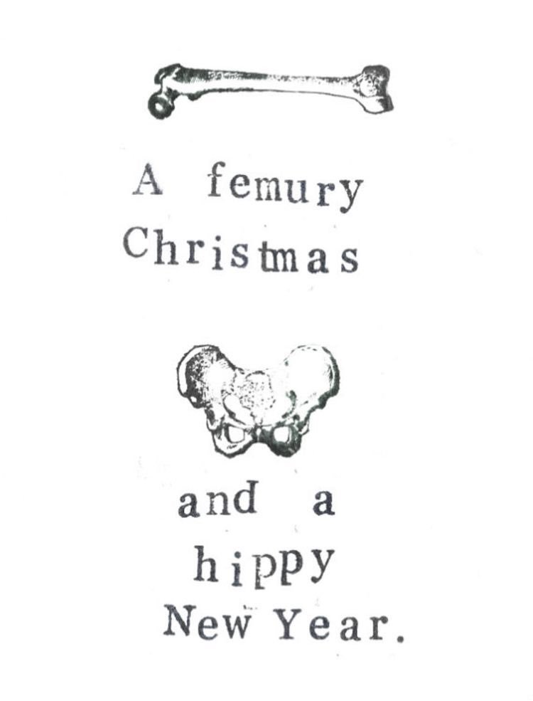 KathyReichs's tweet photo. Wishing you all a safe and happy holiday season! #forensicanthropologyhumor #ifindthishumerus https://t.co/HJHrvWPyo5