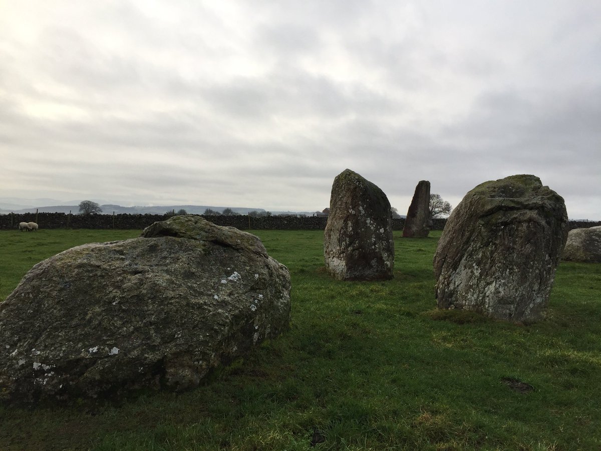 Indie Book Shelf tweet media