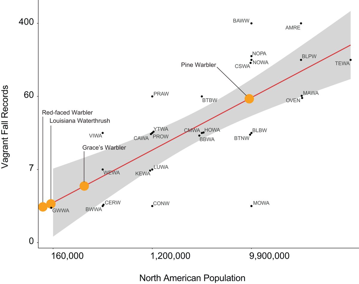 Why do some birds get lost and become vagrants? Check out our latest research addressing the question. Our analysis was based on banding data &amp; Stanley Harris's meticulous archival of vagrant birds in northern California peerj.com/articles/5881/