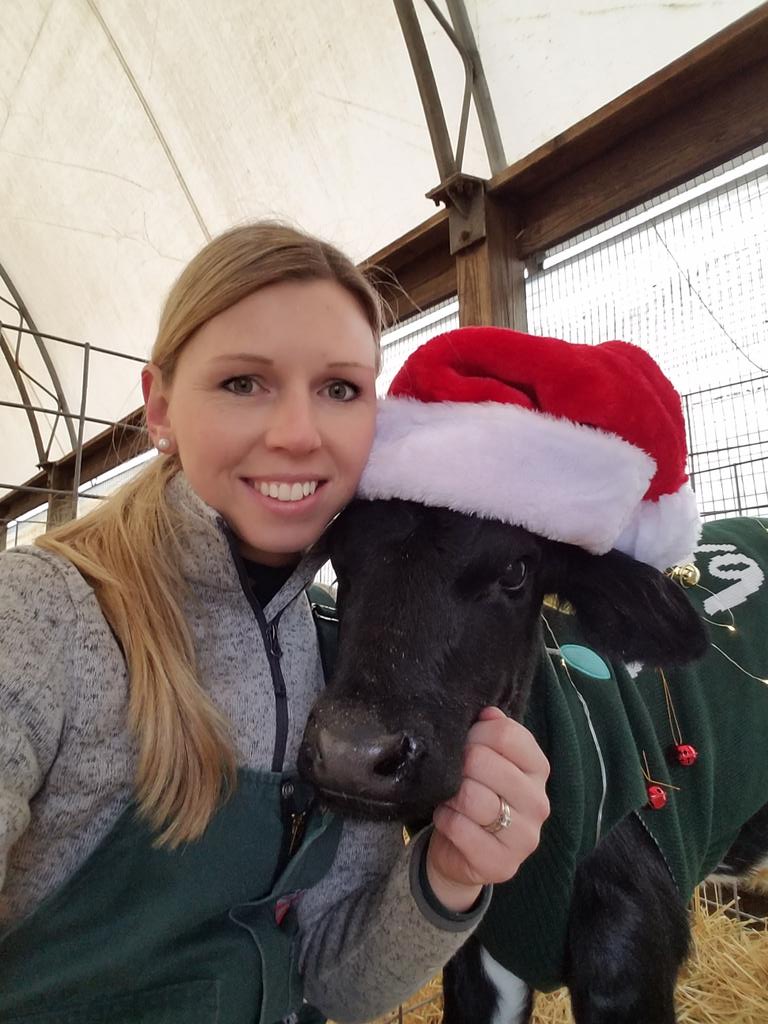 It's really too bad that I don't have any fun with my job. 😉 Miss Frosting is ready for the farm Christmas party tomorrow, ugly sweater and all! 🎅🎄#Christmascalf #farmlove #farmher