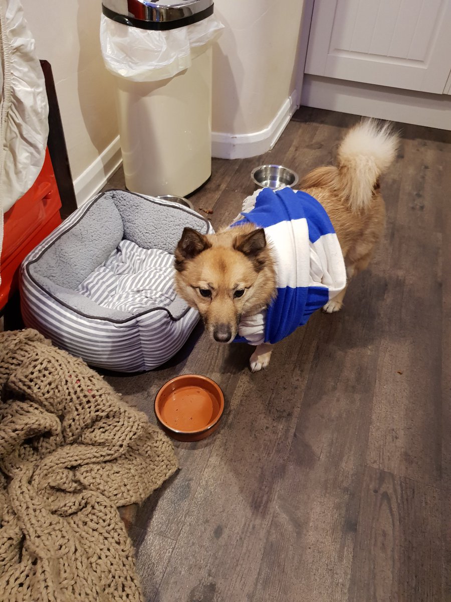 tonymathe34's tweet photo. Nym, take off the scarf. What would @vazpw say! https://t.co/LB8R3u8cfw
