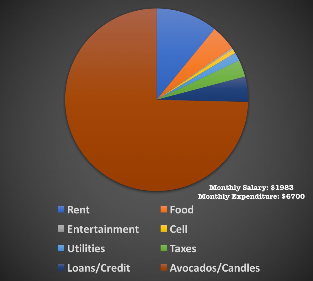 i spend a lot of money on avocados and candles