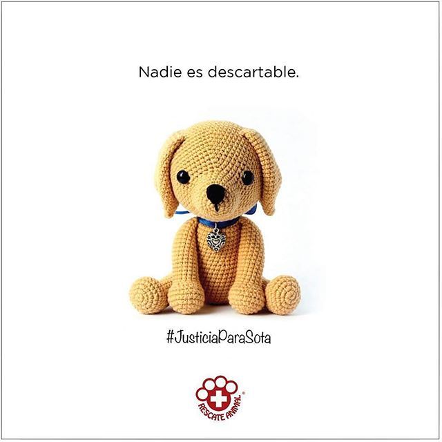 GIVA_GYE's tweet photo. FIRMA LA PETICIÓN PARA PEDIR #JUSTICIAPARASOTA! ENLACE EN NUESTRO PERFIL. 
#Repost de @rescateanimalec - En Barcelona se ha cometido una atrocidad y abuso de autoridad. Un policía ha pegado un tiro a Sota, la perrita de una persona que vive en situación … https://t.co/RCm4Ap9I5O https://t.co/Azy2v3VV8c