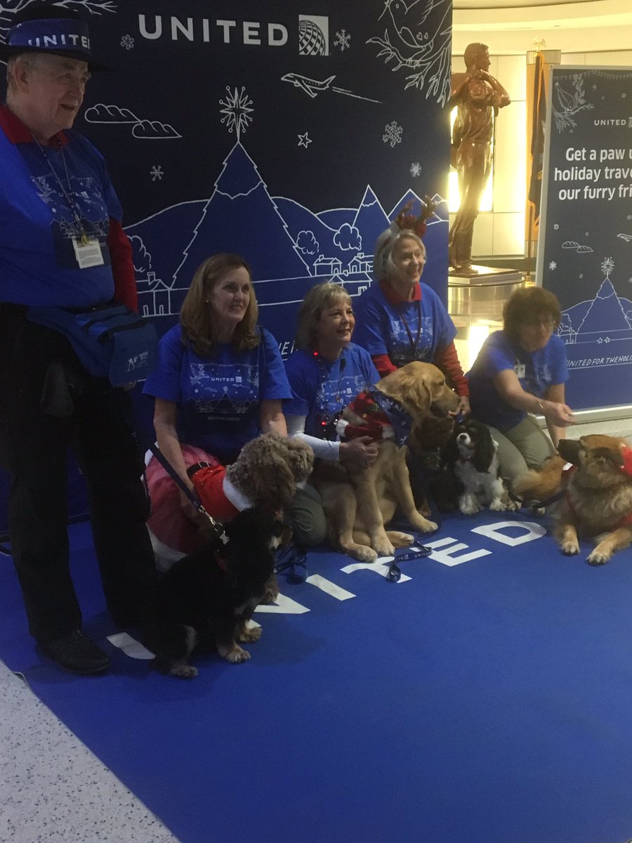 sweet63pea's tweet photo. #unitedfortheholidays https://t.co/Qj4VJXz77c