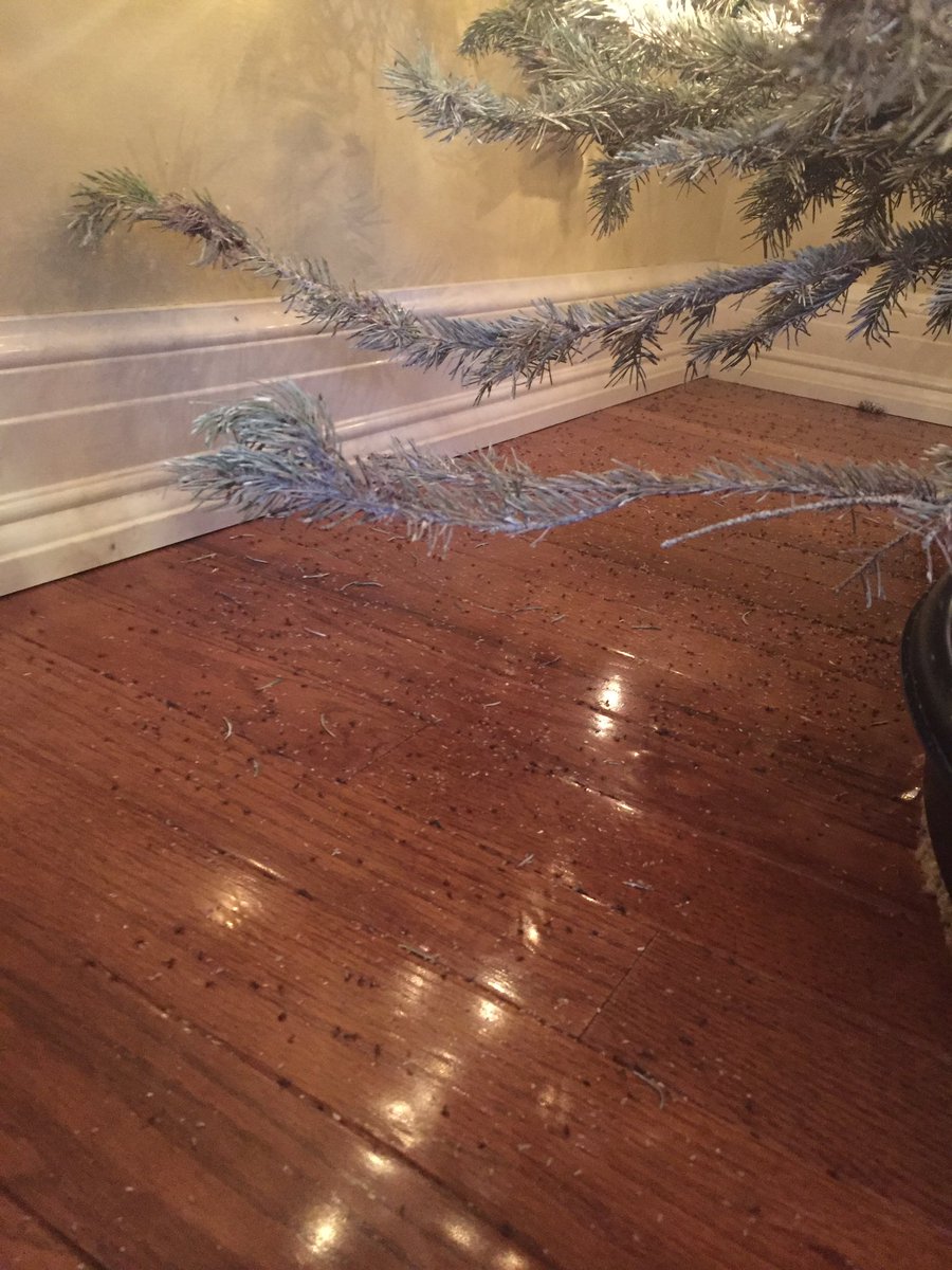 frances__summer's tweet photo. “hmm that’s weird, our pine needles are white so why are there a bunch of black ones?”

“oh wait, those look a little small to be pine needles”

*ummm why are some of them moving???*

OH MY GOSH! THOSE ARE BUGS! THOSE ARE ALLL BUGS. i’m moving out, it’s as simple as that https://t.co/x6sImgeHYd