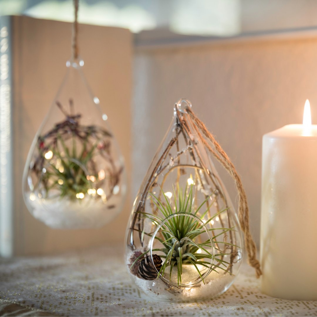 LiveTrends Design tweet media