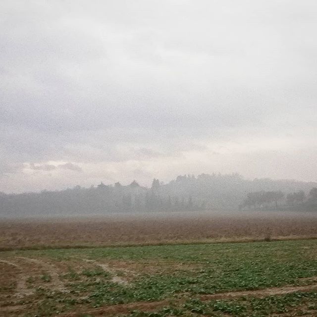 Frammenti di Toscana tweet media