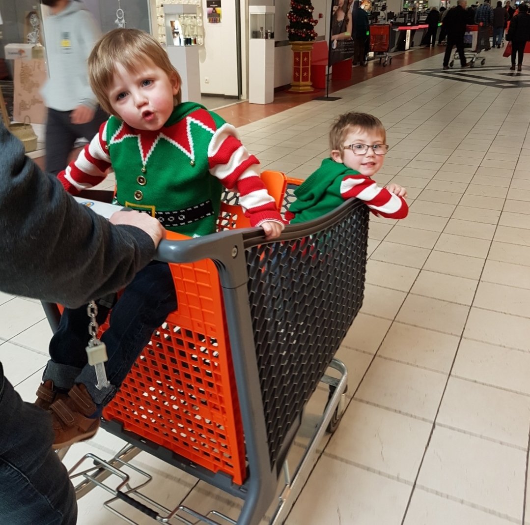 Warrior_Hamster's tweet photo. On a Christmas mission 😄 #elfingabout https://t.co/TFuuHEcq3m
