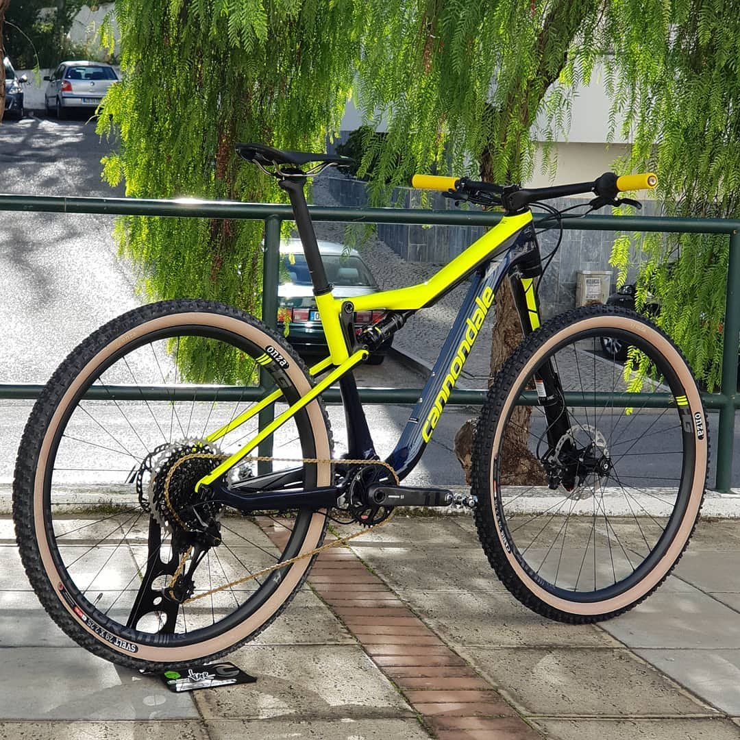 cannondale pinkbike