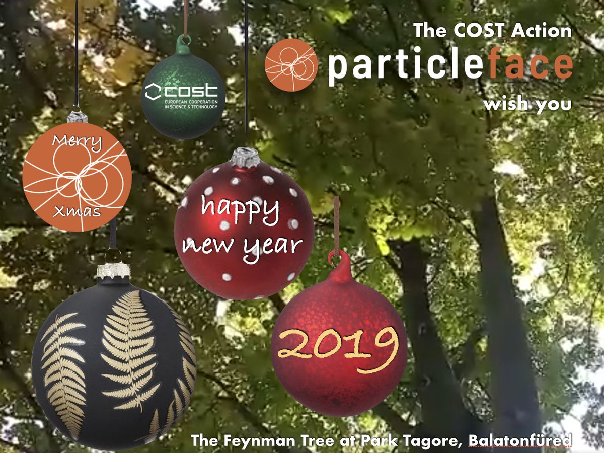 PARTICLEFACE's tweet photo. The @COSTprogramme Action #PARTICLEFACE wish you Merry Xmas and Happy New Year 2019 full of new activities and achievements. https://t.co/Y2DYhoOMrp