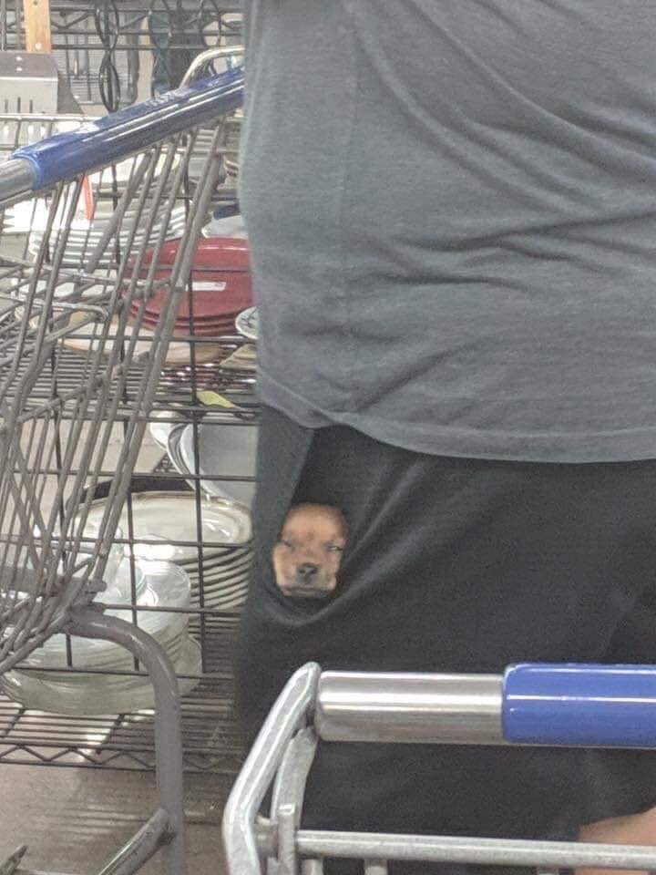 I keep that mf thang on me